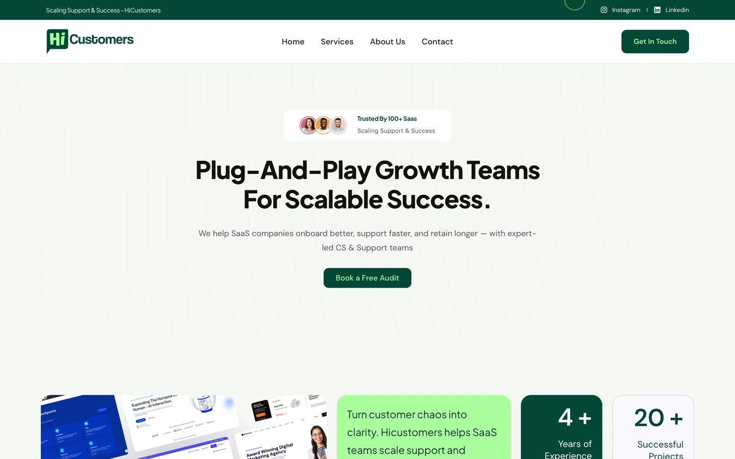 Hi-Customers website preview